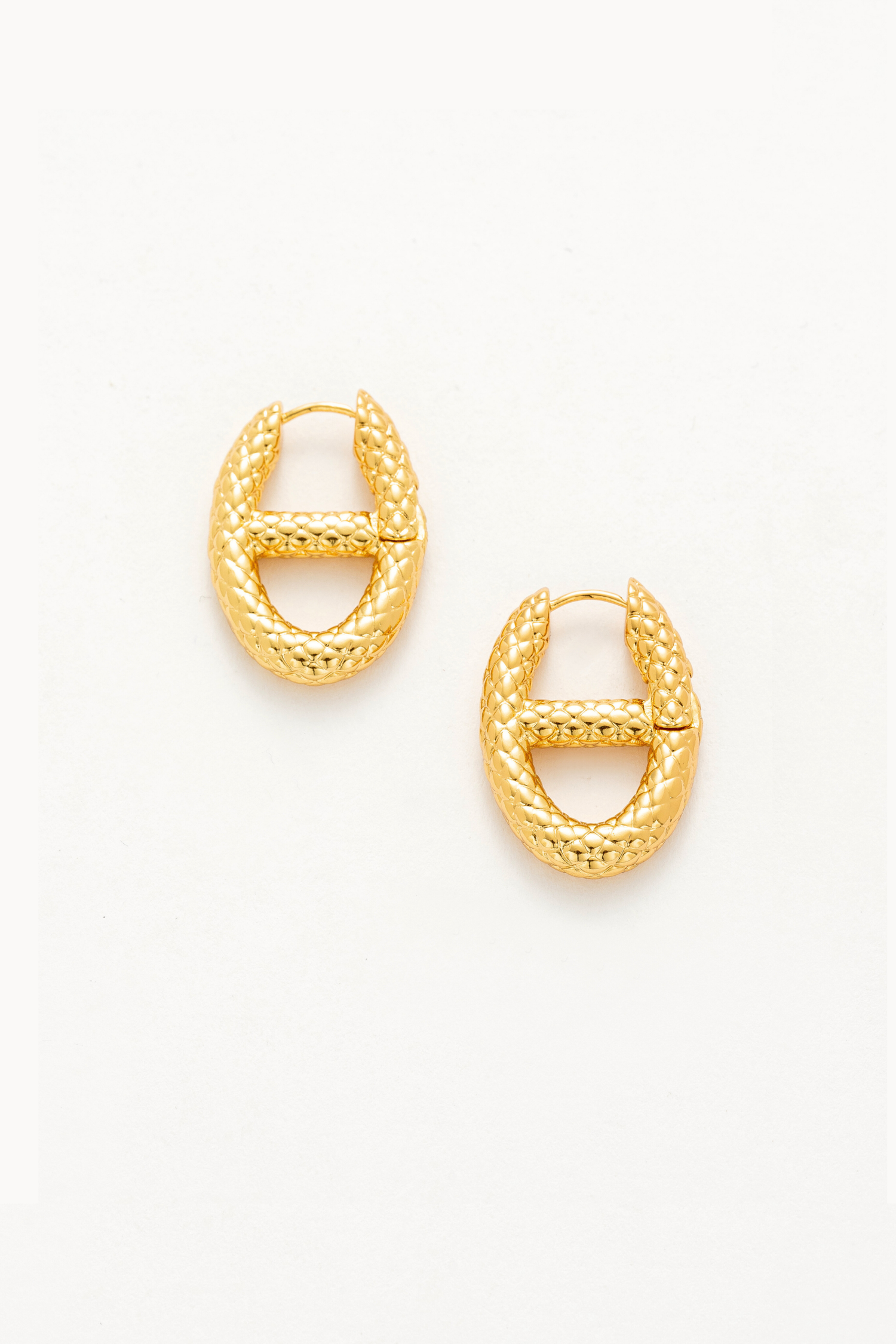 Alessia Chunky Hoop Earrings